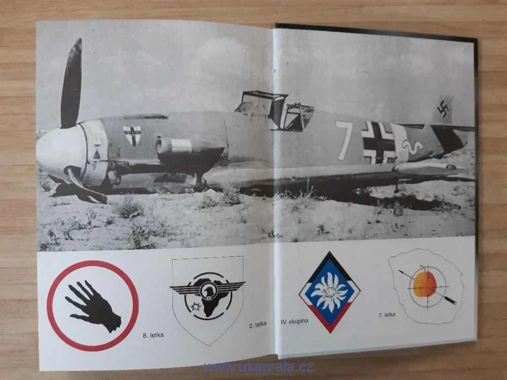 Hans Ring, Werner Girbig, Stíhací eskadra JG27