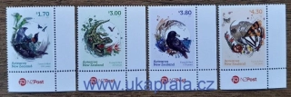 NOVÝ ZÉLAND ** pralesní fauna, r. 2023