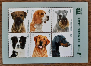 Guernsey ** aršík Bl 113, psi, 150 Years of The Kennel Club,2023