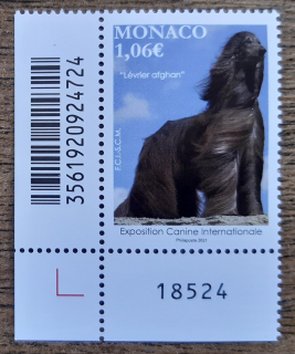 Monako ** 3530 výstava psů, afghánský chrt, r. 2021