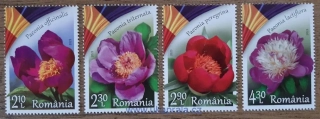 RUMUNSKO ** flóra, pivoňky, r. 2023