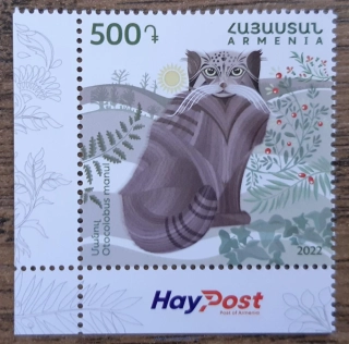 ARMÉNIE ** fauna Arménie, manul, r. 2022