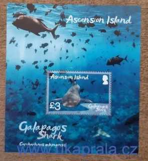 ASCENSION ** žraloci z Galapág, r. 2022