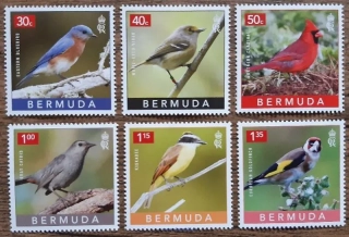Bermudy ** série ptáci, r.2023