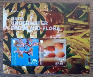 JERSEY ** aršík EUROPA, podmořská flóra a fauna, r. 2024