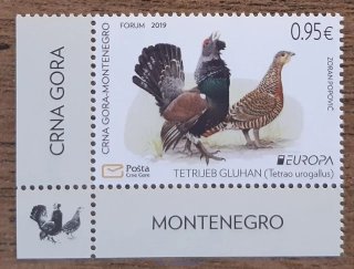 Černá Hora ** 431 EUROPA, tetřev hlušec, r.2019