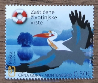 Černá Hora ** 136 chránění živočichové, pelikán bílý, r.2007