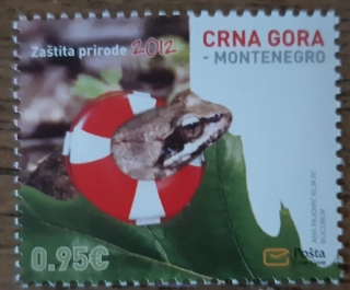 Černá Hora ** 301 ochrana životního prostředí,žába, r.2012