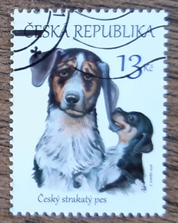 ČR 875 raz., český strakatý pes, r. 2016
