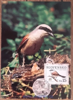 Slovensko CM 350 ptáci, ťuhýk obecný