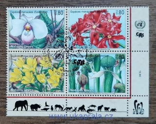 OSN Ženeva raz. 288/91 ohrožené druhy IV - flóra, r. 1996