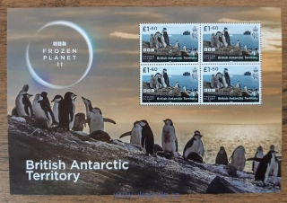 BAT ** aršík BBC, Frozen Planet II, tučňáci, r.2023