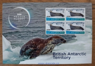 BAT ** aršík BBC, Frozen Planet II, tuleni, r.2023