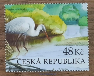 ČR ** Litovelské Pomoraví, volavka, r. 2024