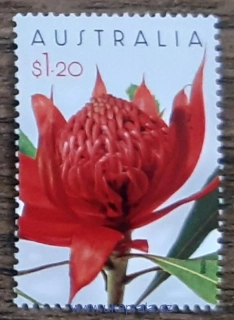 AUSTRÁLIE ** flóra, Waratah, r. 2023
