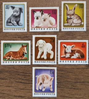 Maďarsko ** 3007/13 mláďata domácích zvířat, r. 1974