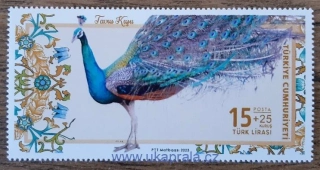 TURECKO ** páv, r. 2023