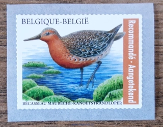 Belgie ** 5193 jespák rezavý, r. 2023