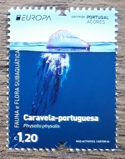 AZORY, PORTUGALSKO ** EUROPA, podmořská fauna, R. 2024