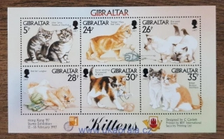 GIBRALTAR ** aršík Bl 27, koťata, r. 1997