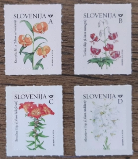 SLOVINSKO ** flóra, lilie, R.2024