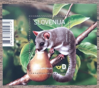 SLOVINSKO ** aršík, plch velký, r. 2023