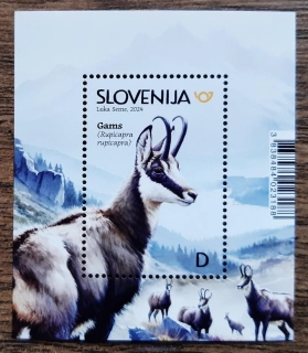 SLOVINSKO ** aršík, kamzík horský, R.2024