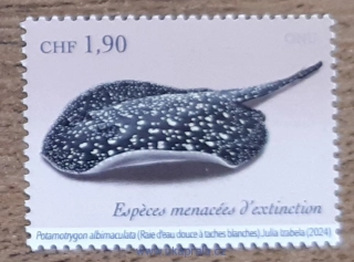 OSN Ženeva ** ohrožená fauna a flóra, trnucha, R. 2024