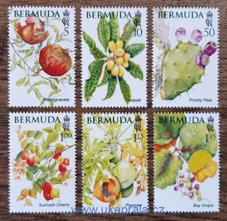 BERMUDY ** flóra, ovoce, r. 2024