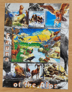 Kyrgyzstán raz. aršík, fauna Alp, r. 2004