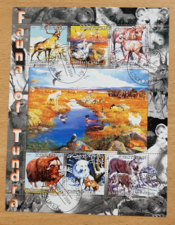 Kyrgyzstán aršík raz., fauna tundry, r. 2004