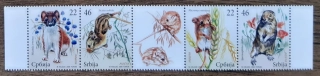 SRBSKO ** 278/81, chráněná fauna, r. 2009