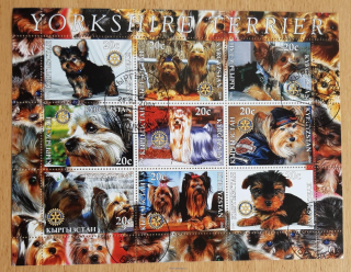 Kyrgyzstán aršík raz., psi "Yorkshire Terrier", r. 2004