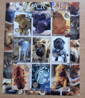 Kyrgyzstán aršík raz., psi "Shar-Pei", r. 2004