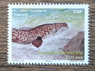 FR. POLYNÉSIE ** Anguilles en Polynésie - Puhi paa, r. 2024