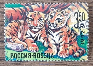 RUSKO raz., tygři, ochrana přírody,  r. 1992