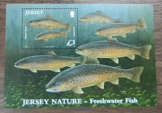 Jersey ** aršík Bl 89 sladkovodní ryby, r. 2010