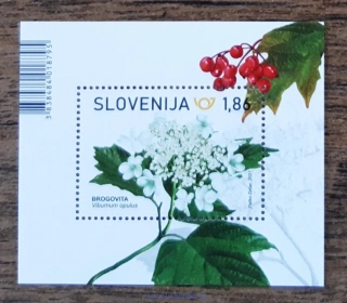 SLOVINSKO ** aršík Bl 133, flóra, r. 2021