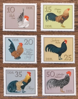 NDR ** 2394/99, drůbež, r. 1979