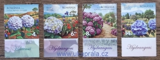 RUMUNSKO ** flóra, hortenzie, R. 2025