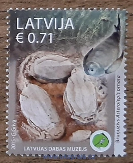 LOTYŠSKO ** 939, muzeum, fosilie, r. 2015
