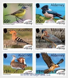 ALDERNEY ** Alderney Bird Observatory, ptáci, NOVINKA R. 2026
