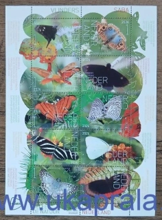 HOLANDSKO ** aršík, Experience Nature - Butterflies Saba, motýli, NOVINKA R. 2026