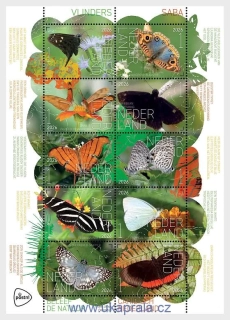HOLANDSKO ** aršík, Experience Nature - Butterflies Saba, motýli, NOVINKA R. 2026