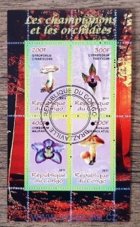 Kongo, houby, orchideje, aršík