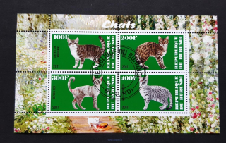 Burundi, kočky, aršík 