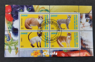 Burundi, kočky, aršík