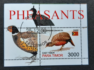 East Timor, Para Timor, ptáci, aršík