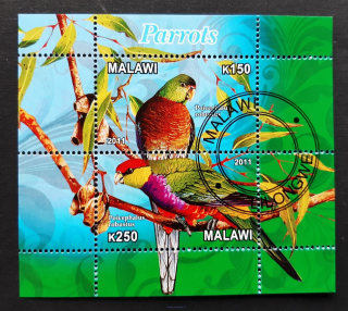 Malawi, raz. aršík, ptáci, papoušci, r. 2011