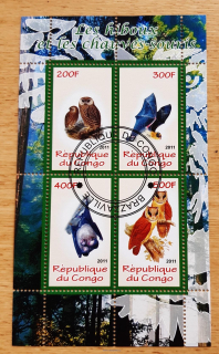 Kongo raz. aršík, sovy a netopýři, r. 2011